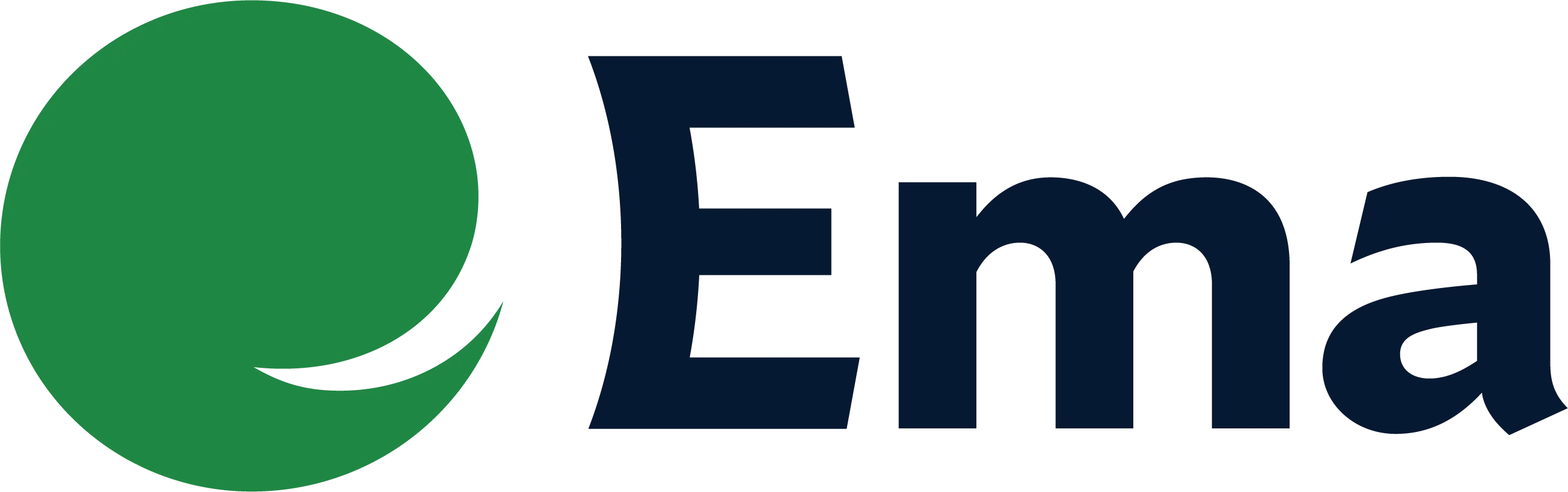 EMA Logo
